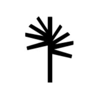 palma pictures spain logo
